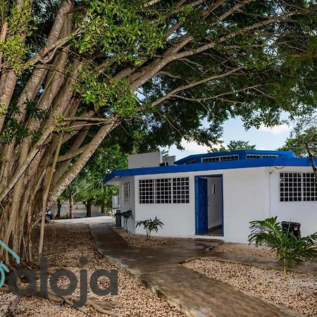 Villa Xtohil With Private Access To The Magic 7 Colors Lagoon Bacalar Eksteriør bilde