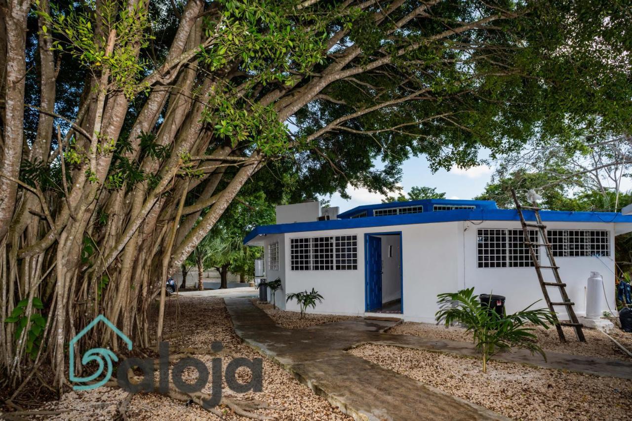 Villa Xtohil With Private Access To The Magic 7 Colors Lagoon Bacalar Eksteriør bilde