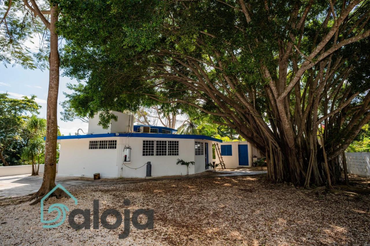 Villa Xtohil With Private Access To The Magic 7 Colors Lagoon Bacalar Eksteriør bilde