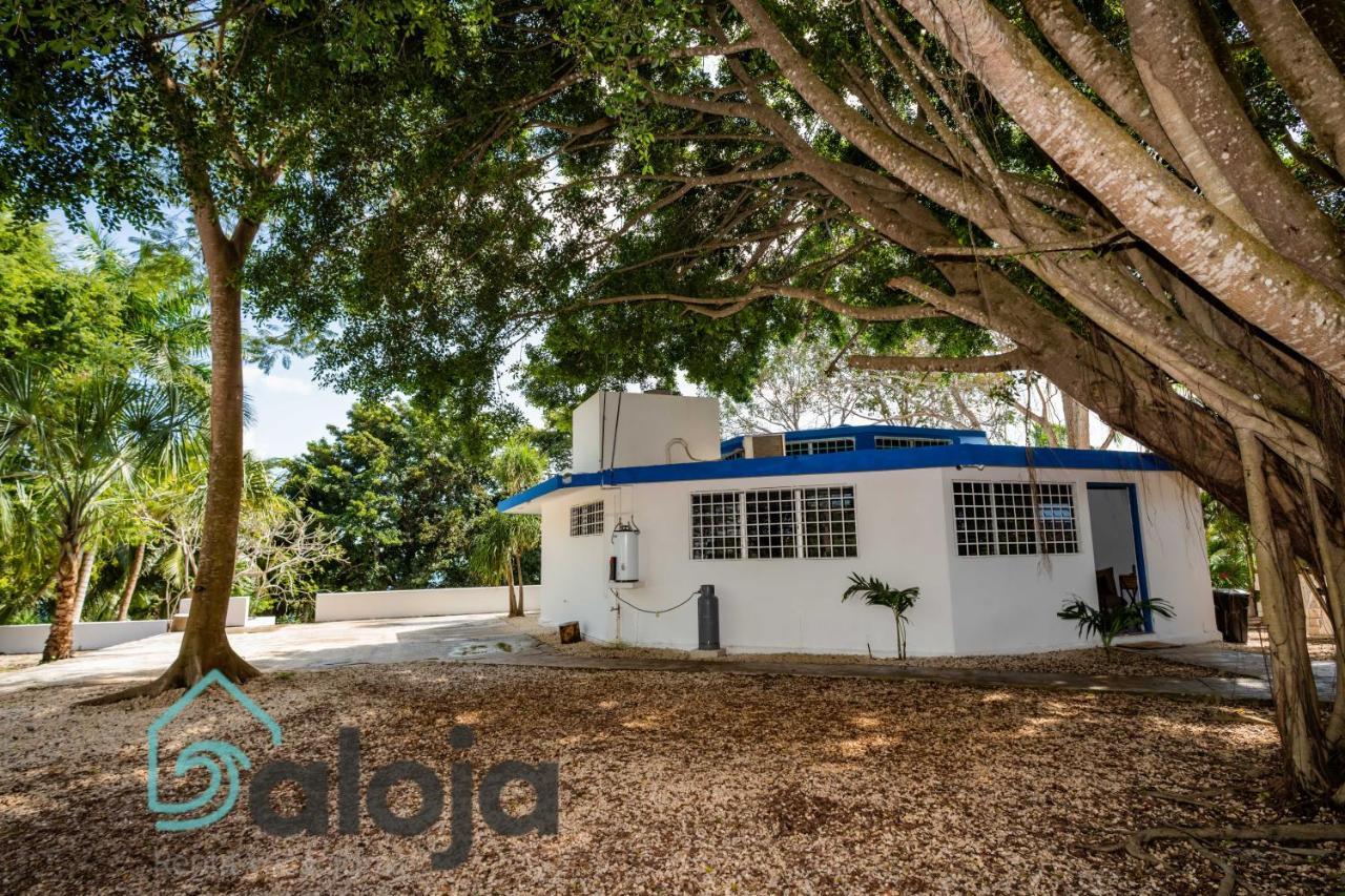 Villa Xtohil With Private Access To The Magic 7 Colors Lagoon Bacalar Eksteriør bilde